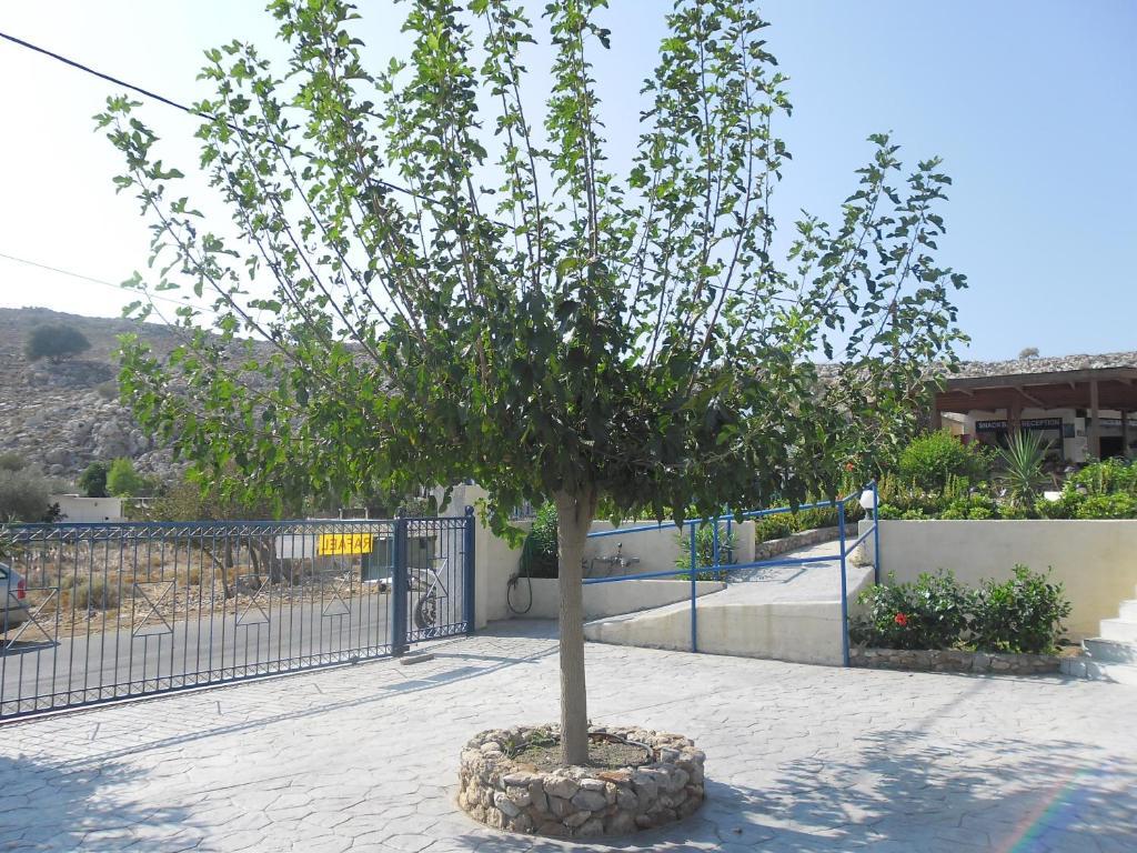Rafael Hotel-Adults Only Líndos Zewnętrze zdjęcie